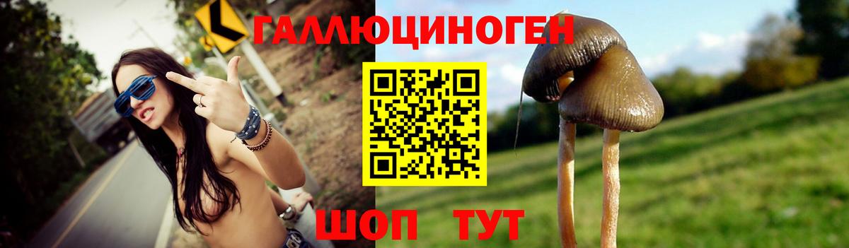 Псилоцибиновые грибы Psilocybe  Вход с VPN  Кулебаки 